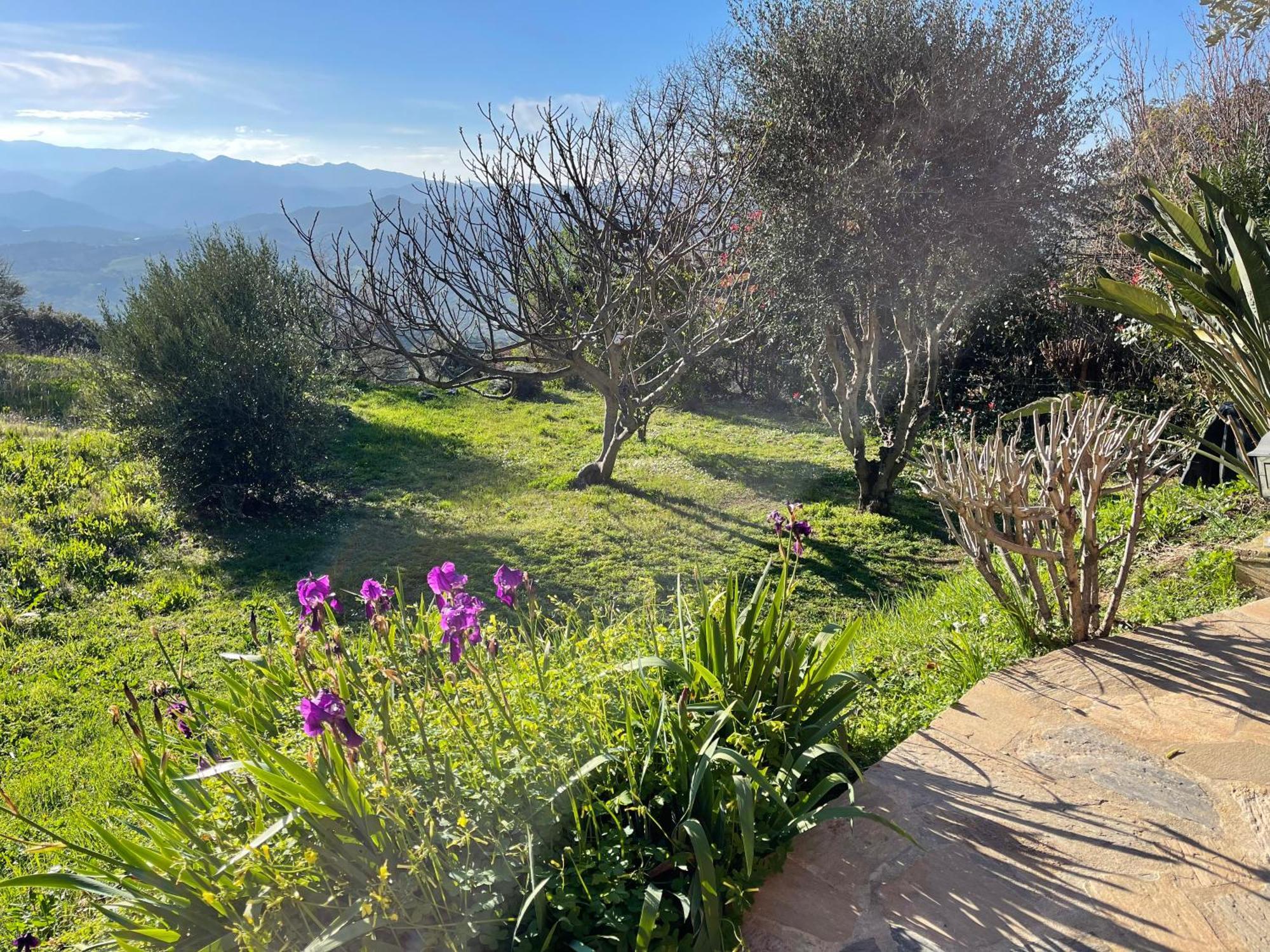 Carpediem_Corsica Poggio-d'Oletta Buitenkant foto